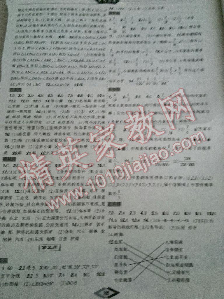 2015年暑假樂園七年級數(shù)學地理生物理科版遼寧師范大學出版社 第7頁