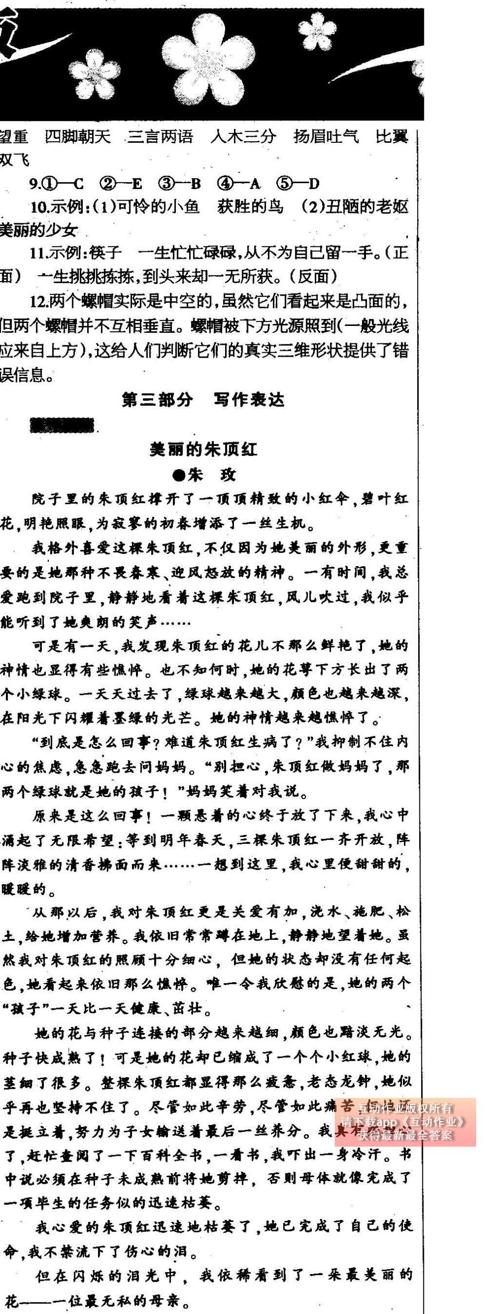 2015年中学生学习报2015语文周刊暑假专版七年级 参考答案第17页