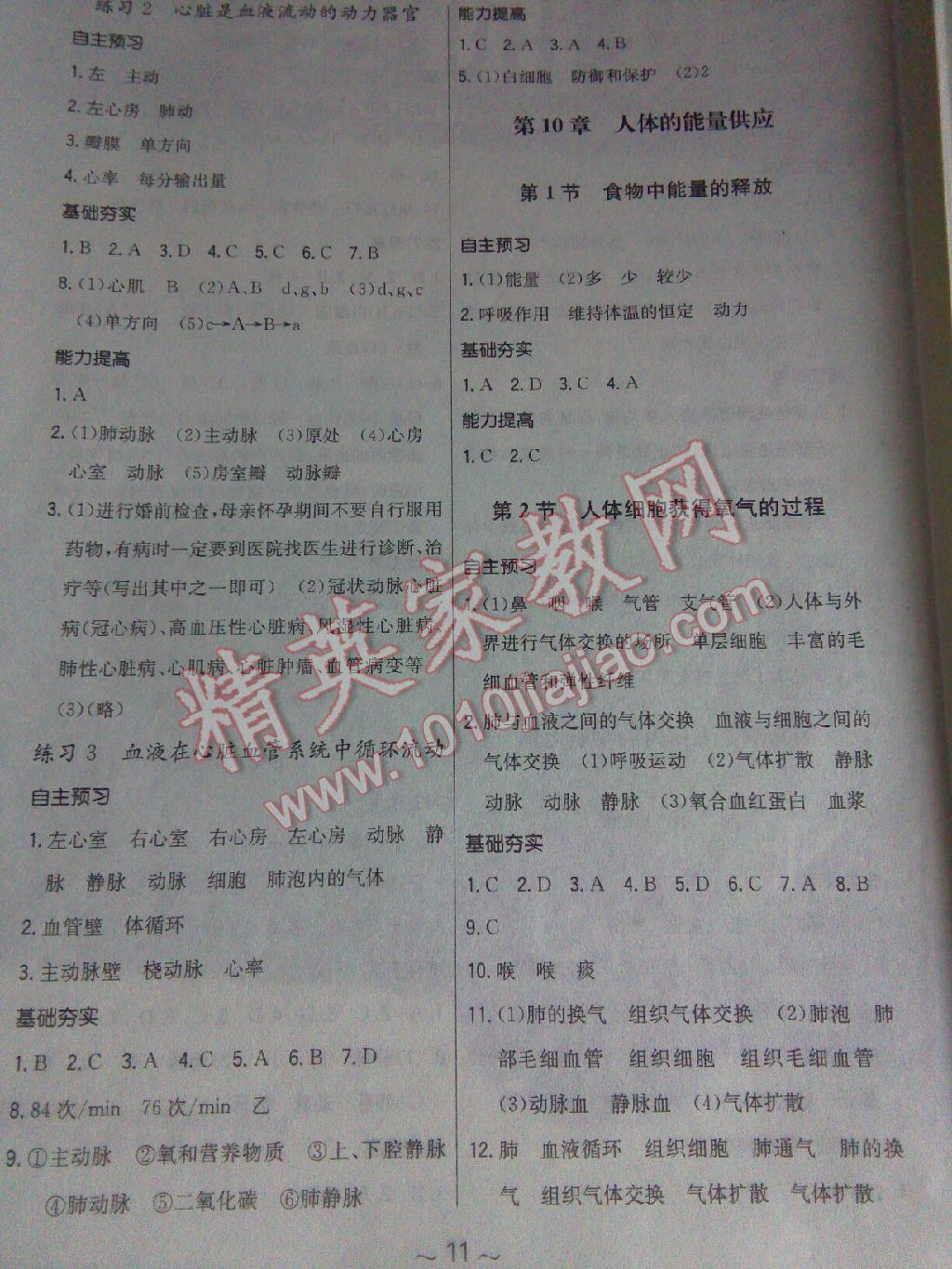 2014年新编基础训练七年级生物学上册北师大版 第12页