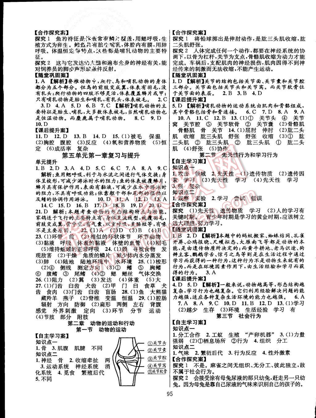 2015年課堂導(dǎo)練1加5八年級生物上冊人教版 第3頁