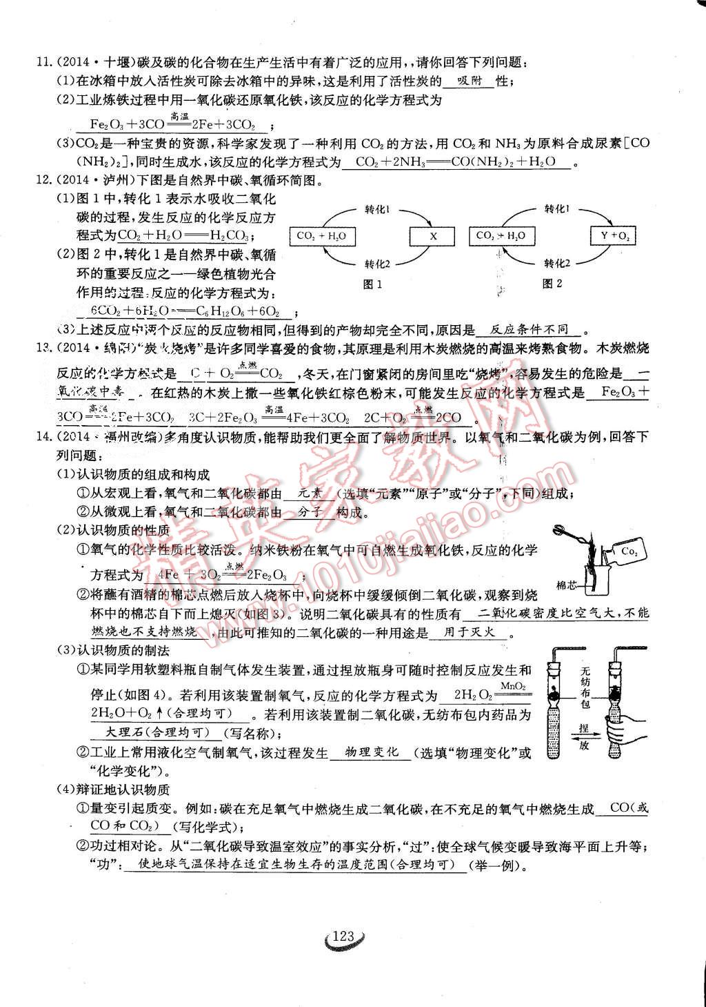 2015年思維新觀察課時作業(yè)九年級化學全一冊人教版 第123頁