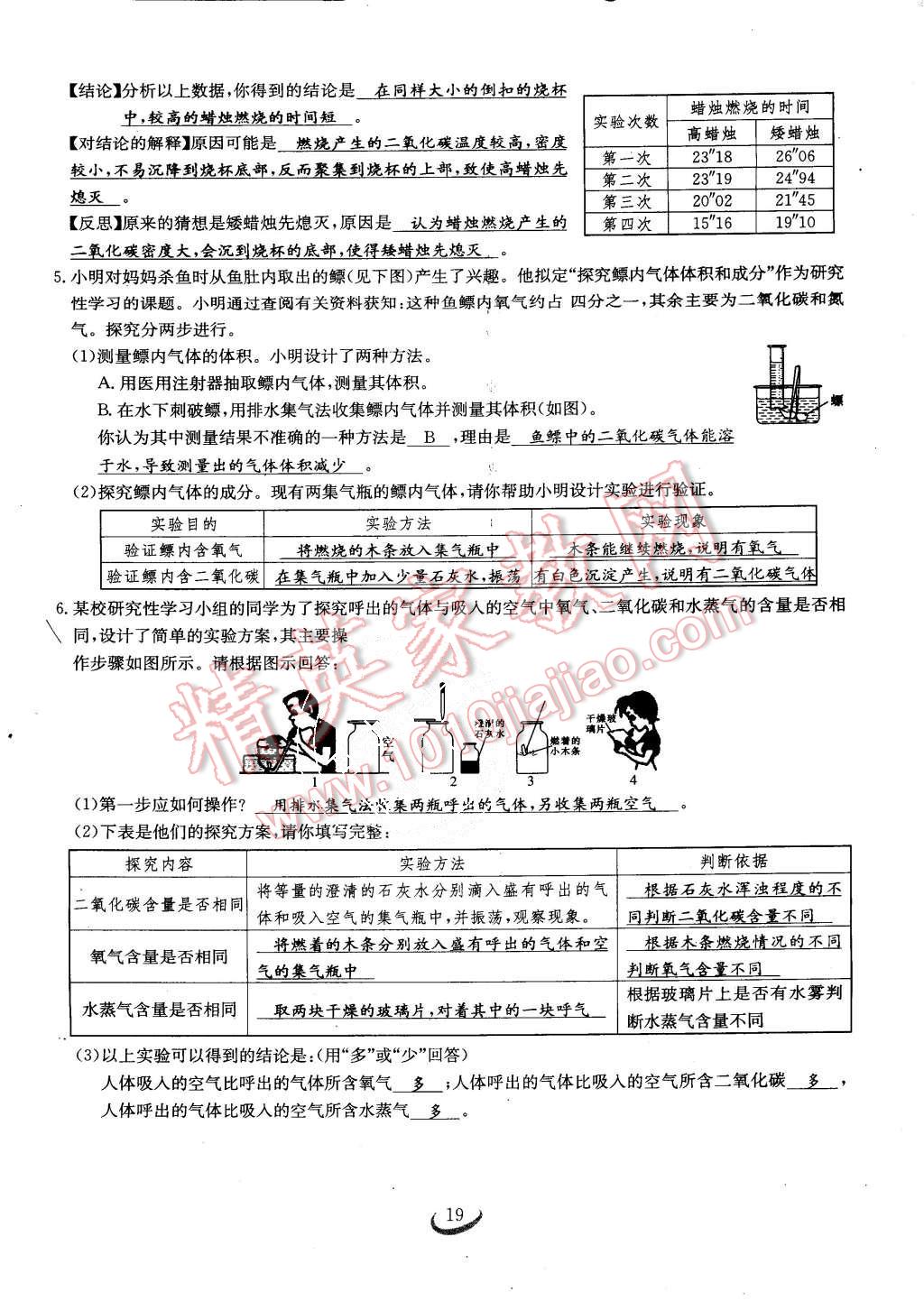 2015年思維新觀察課時作業(yè)九年級化學全一冊人教版 第19頁