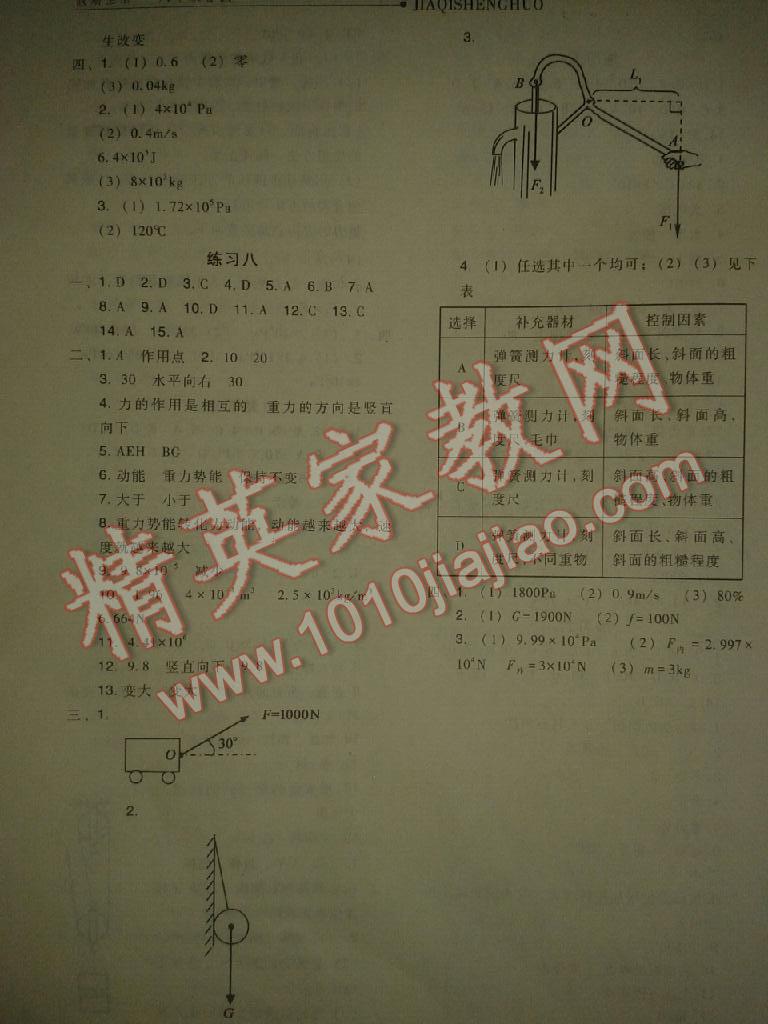 2015年假期生活八年級物理教科版方圓電子音像出版社 第4頁