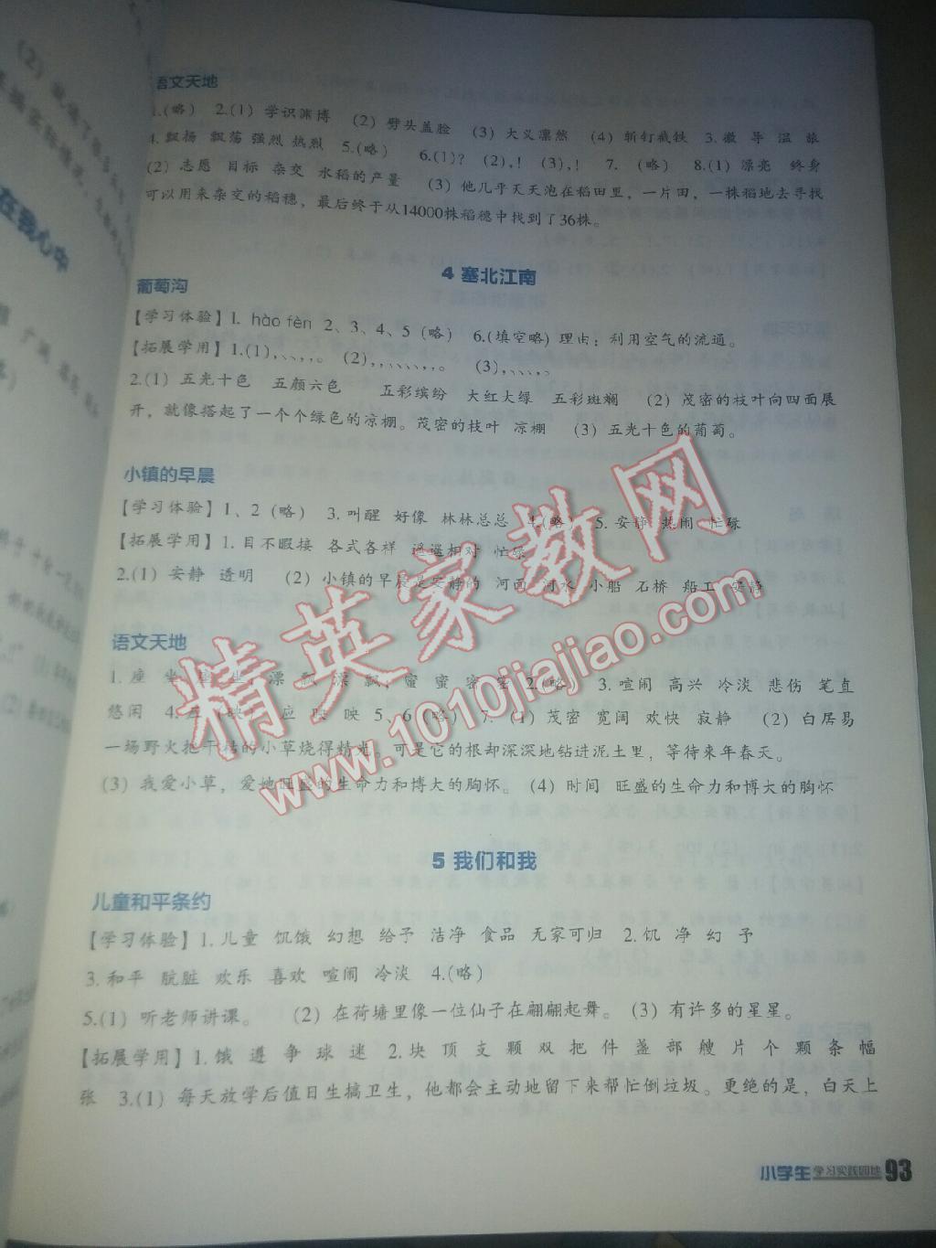 小學(xué)生學(xué)習(xí)實(shí)踐園地三年級(jí)語(yǔ)文上冊(cè)北師大版 第3頁(yè)