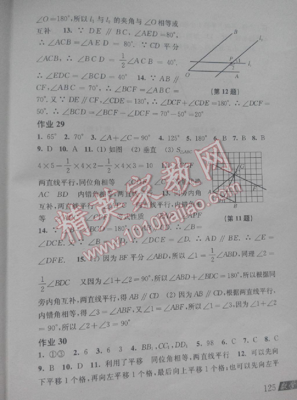 2015年暑假作业七年级数学沪科版上海科学技术出版社 第10页