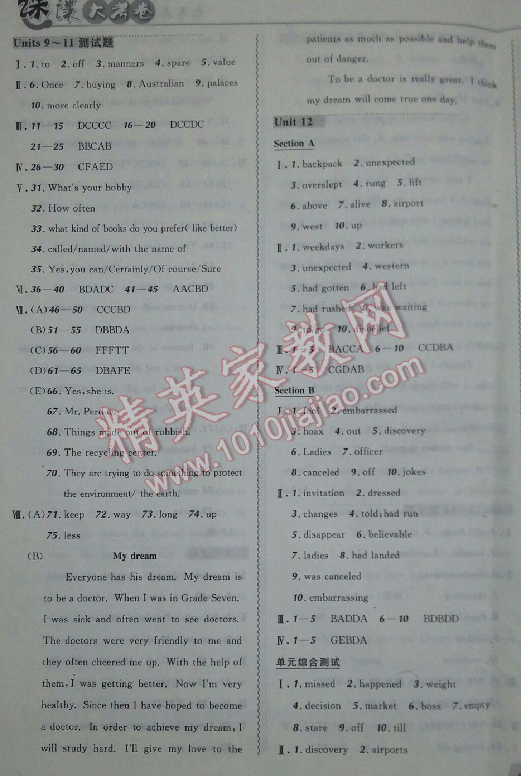 北大绿卡课课大考卷九年级英语全一册人教版 第13页