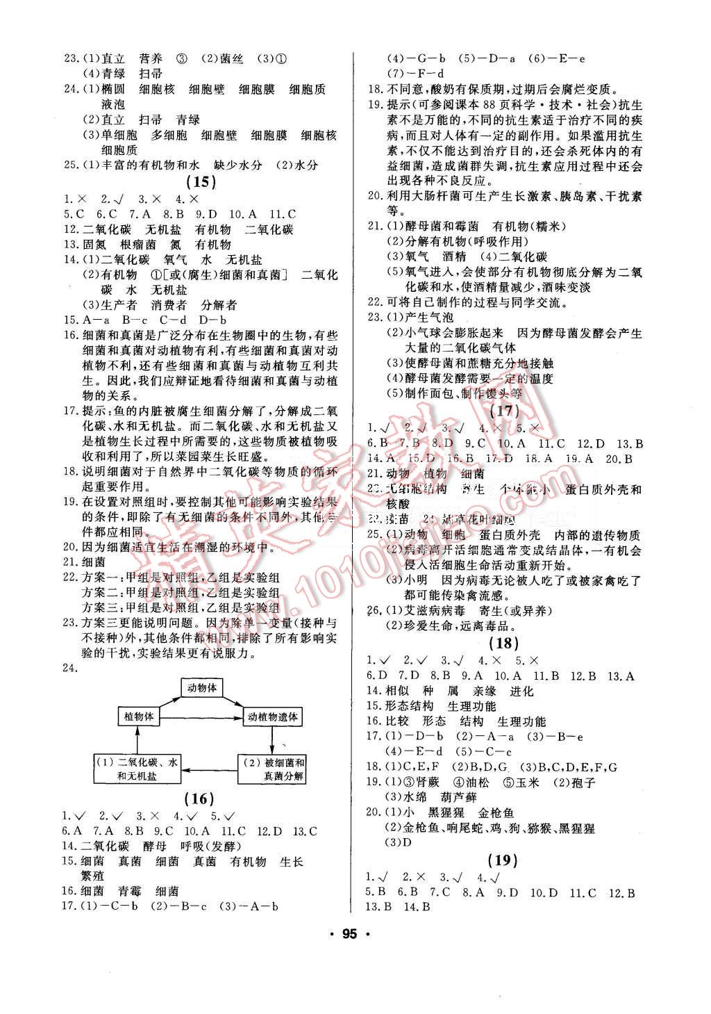 2015年試題優(yōu)化課堂同步八年級生物上冊人教版 第5頁