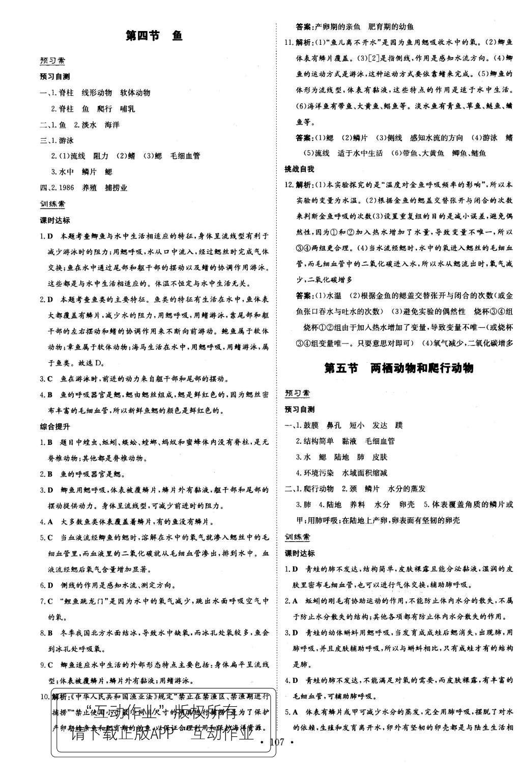 2015年初中同步学习导与练导学探究案八年级生物上册人教版 参考答案第31页