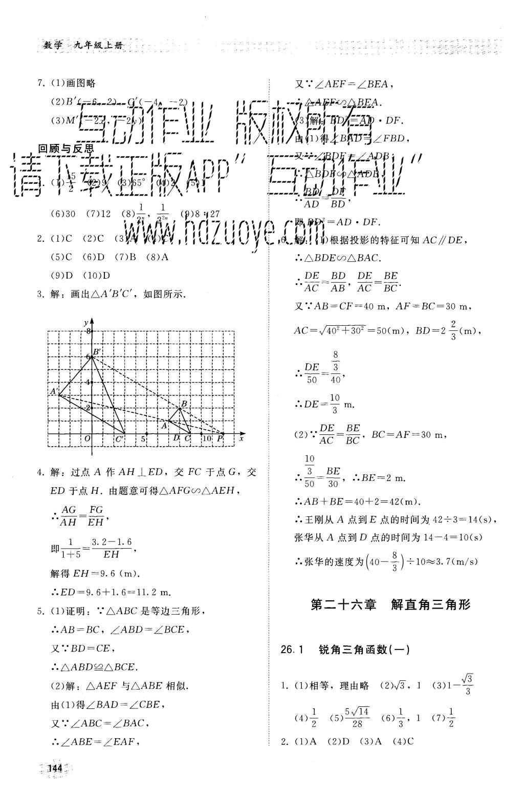 2016年同步练习册九年级数学上册冀教版河北教育出版社 参考答案第15页