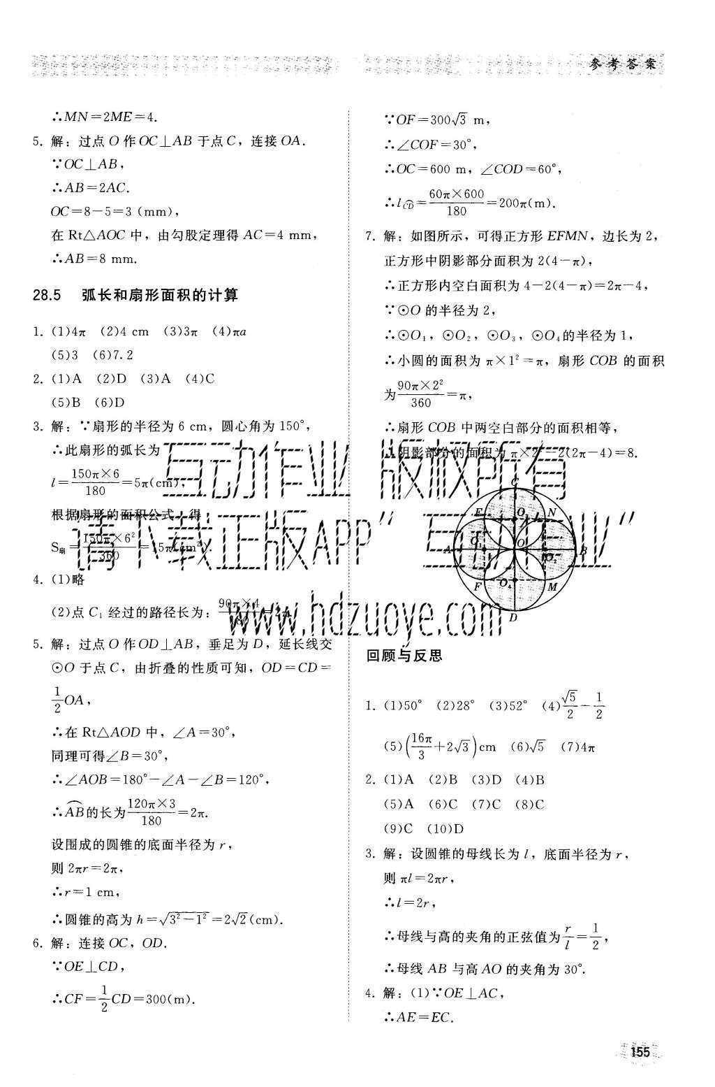 2016年同步练习册九年级数学上册冀教版河北教育出版社 参考答案第26页