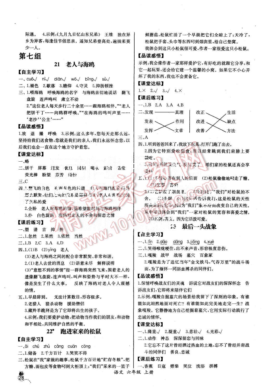 2015年同步导学案课时练六年级语文上册人教版河北专版 第8页