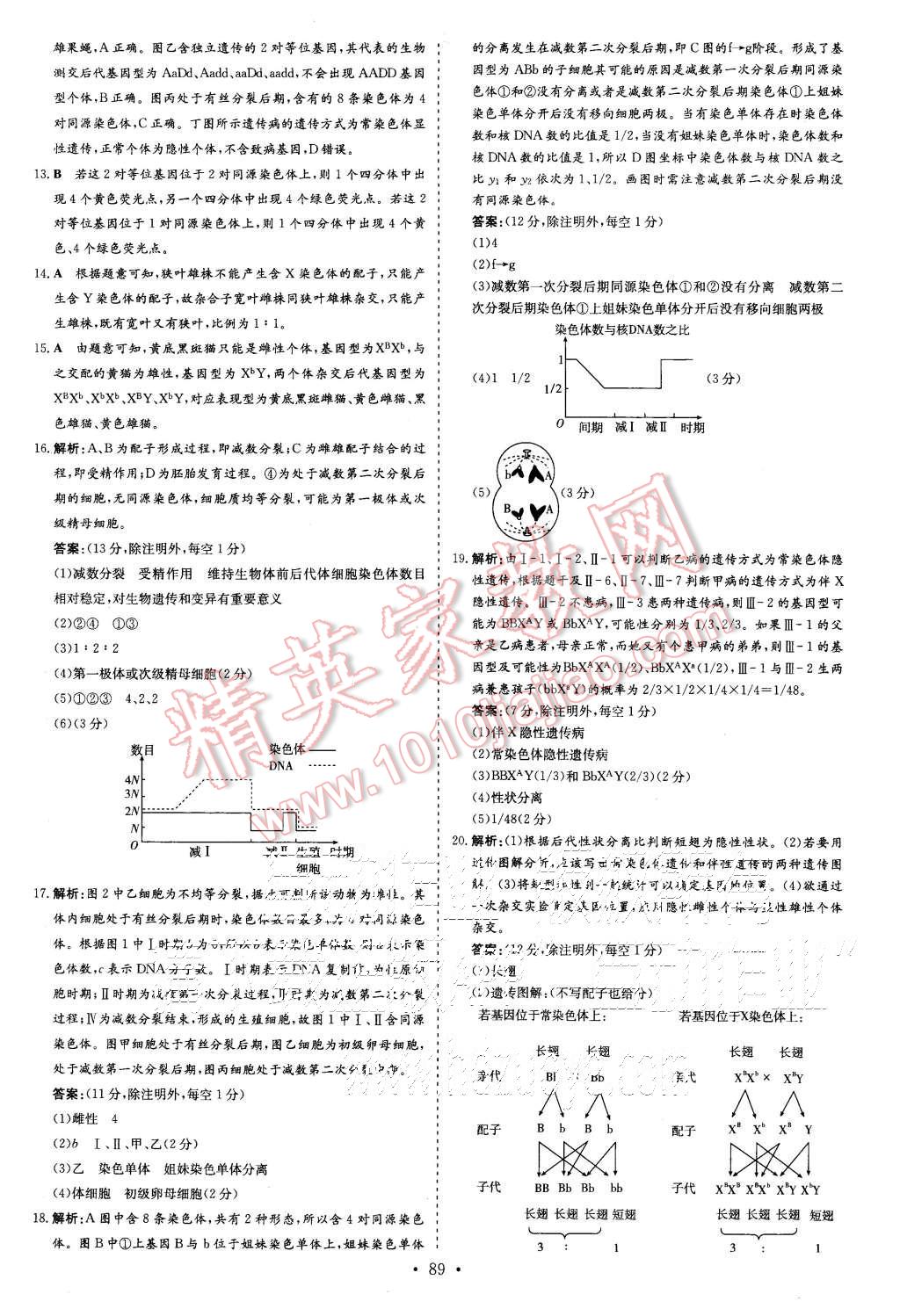 2015年導(dǎo)與練小題巧練高中生物必修2遺傳與進(jìn)化 第11頁