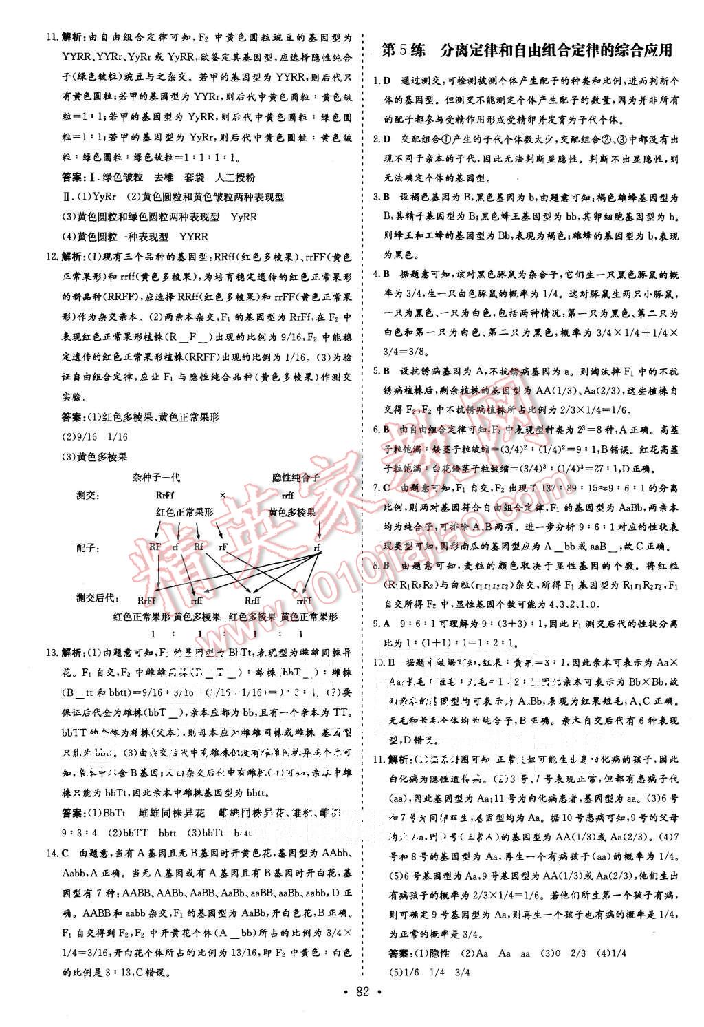 2015年导与练小题巧练高中生物必修2遗传与进化 第4页