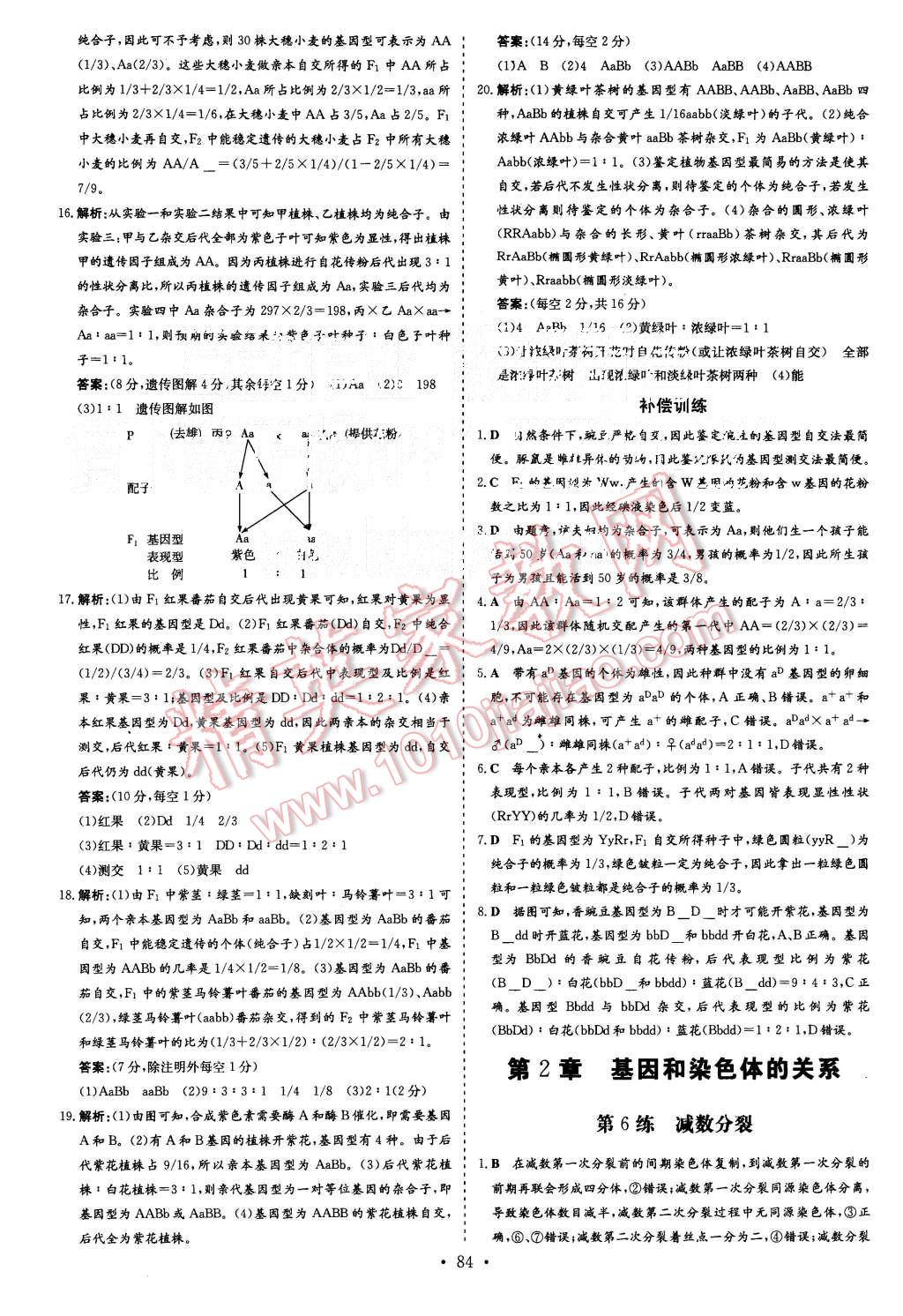 2015年导与练小题巧练高中生物必修2遗传与进化 第6页