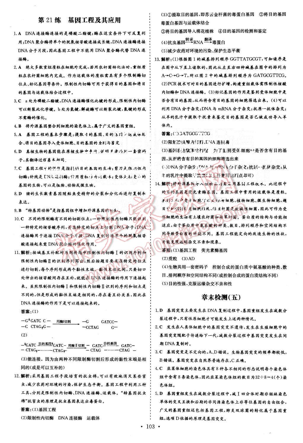 2015年導(dǎo)與練小題巧練高中生物必修2遺傳與進(jìn)化 第25頁