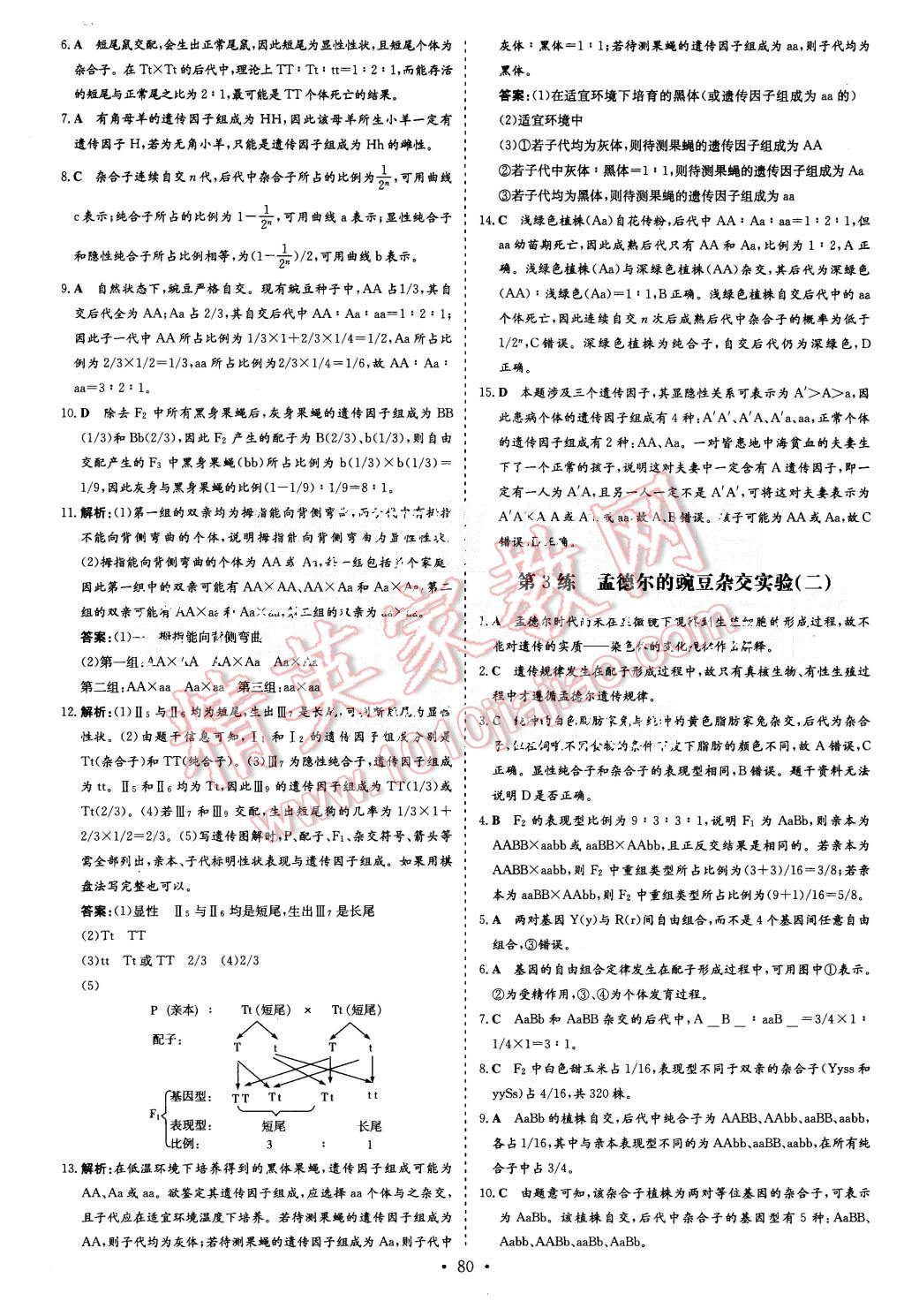 2015年導(dǎo)與練小題巧練高中生物必修2遺傳與進化 第2頁