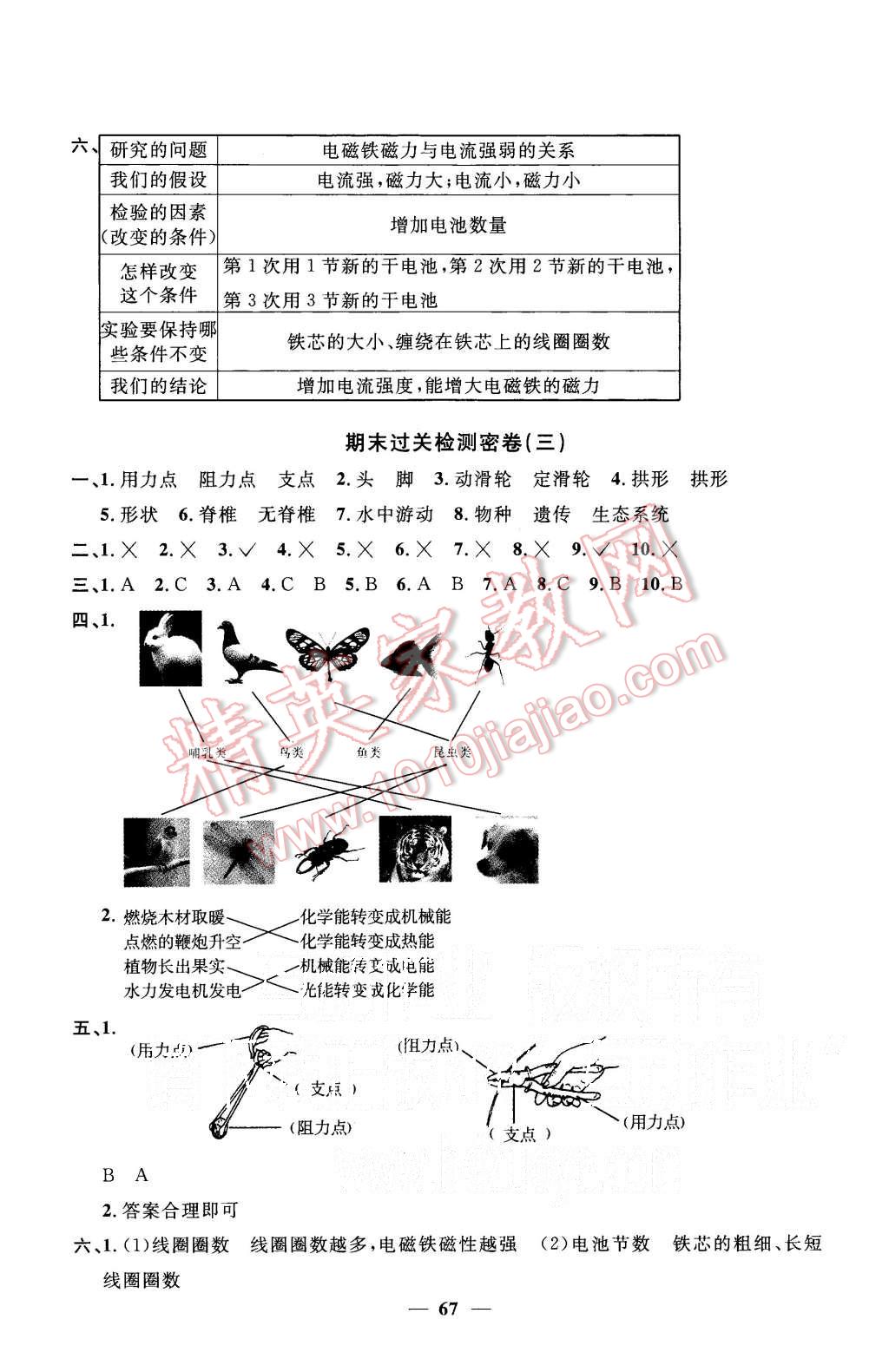 2015年一線名師全優(yōu)好卷六年級(jí)科學(xué)上冊(cè)教科版 第7頁(yè)