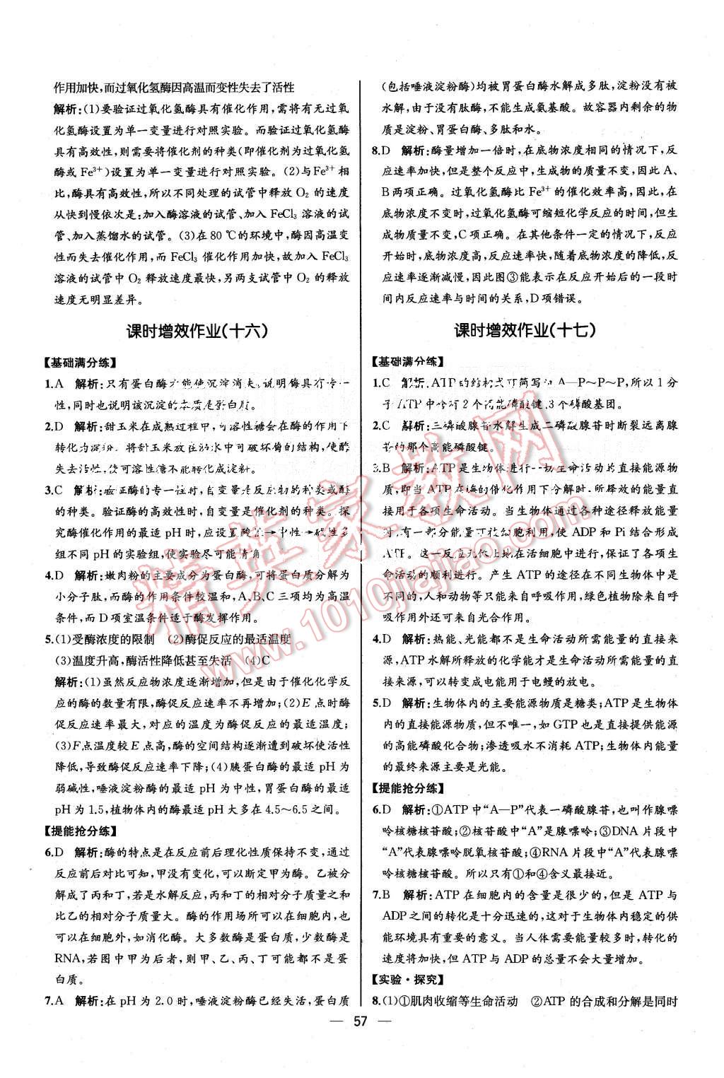 2015年同步導學案課時練高中生物必修1分子與細胞人教版 第11頁