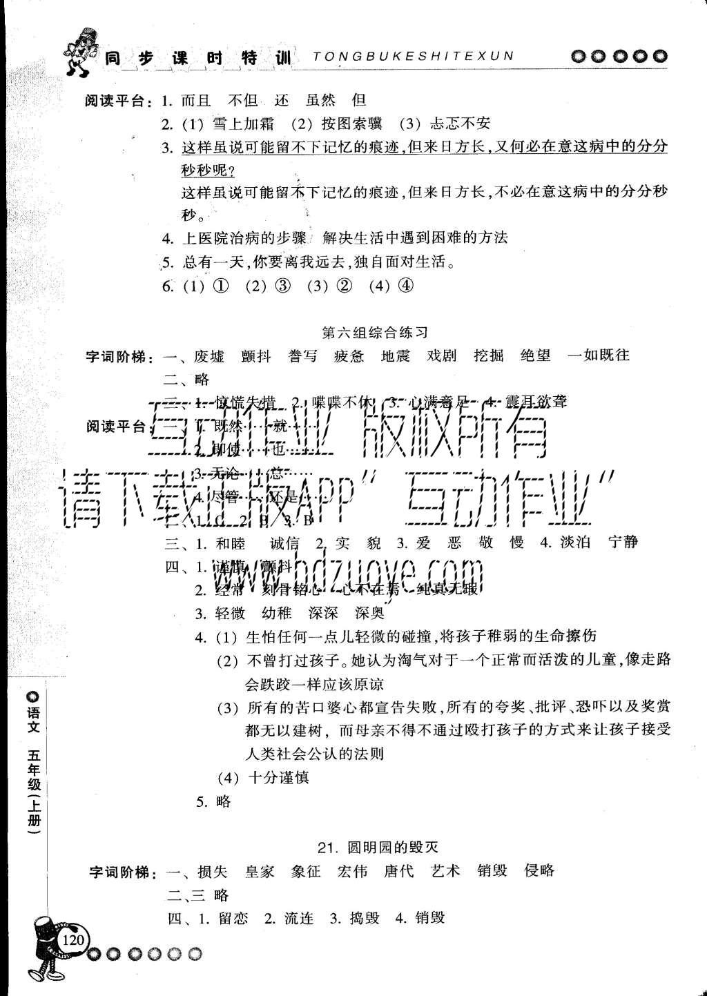 2015年课时特训五年级语文上册人教版&nbsp;参考答案第38页