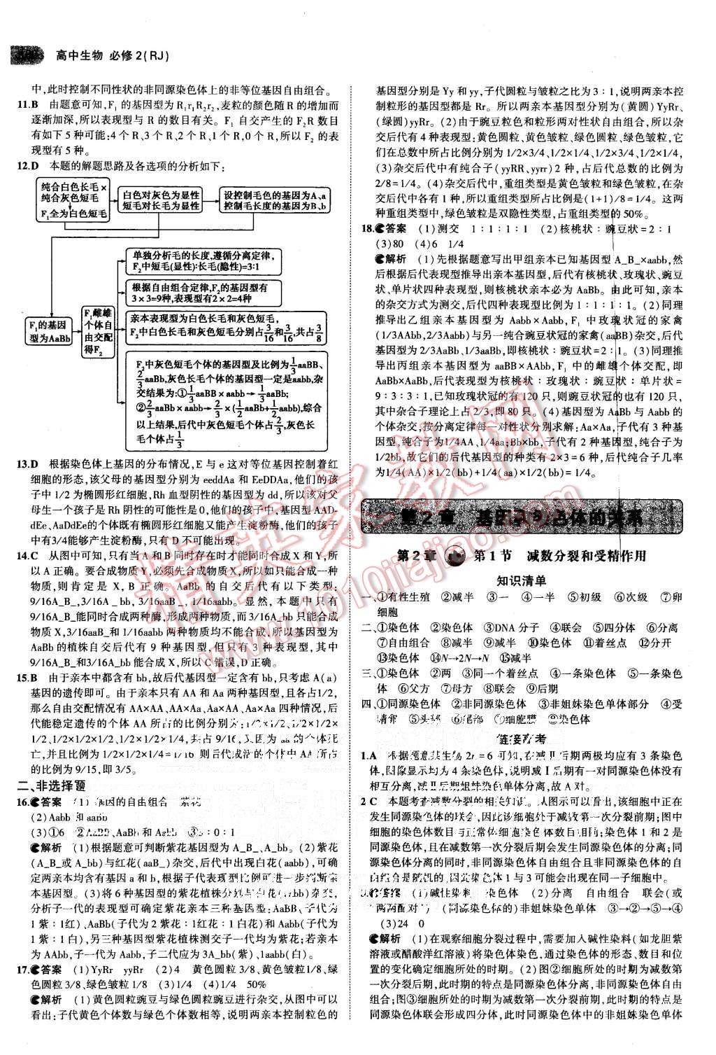 2015年5年高考3年模擬高中生物必修2人教版 第5頁