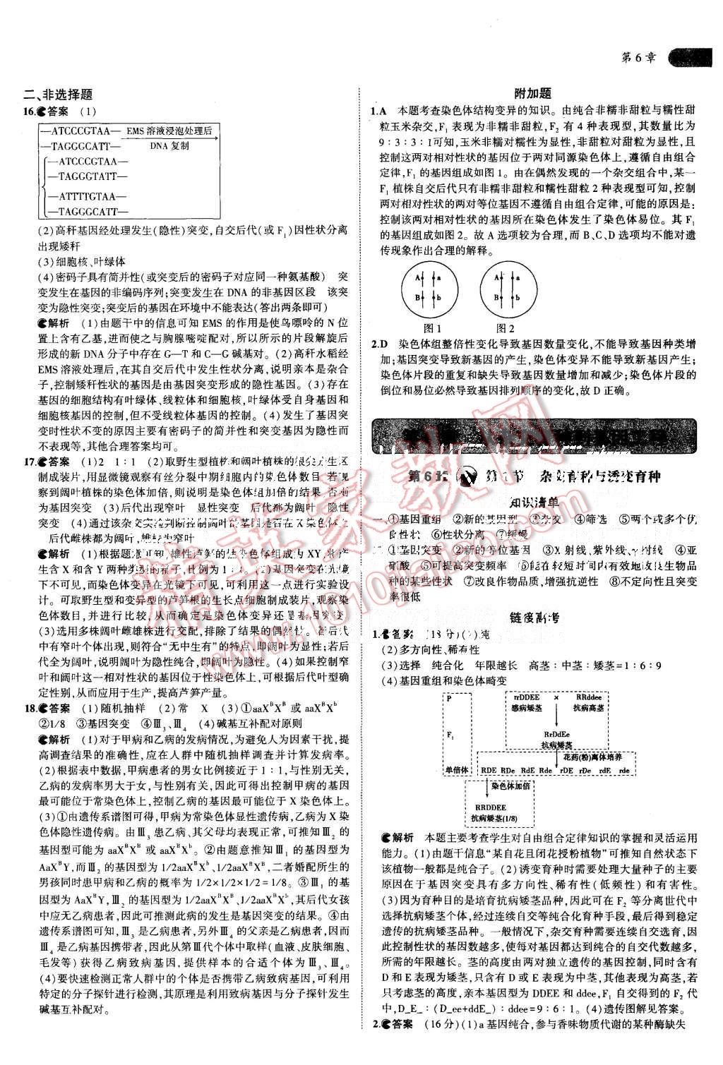 2015年5年高考3年模擬高中生物必修2人教版 第22頁