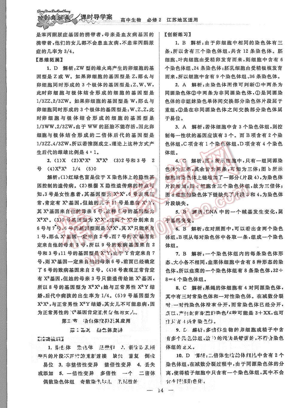 2015年功到自然成課時導學案高中生物必修2江蘇版 第14頁