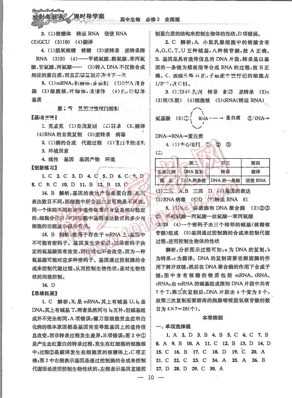 2015年功到自然成課時(shí)導(dǎo)學(xué)案高中生物必修2全國版 第10頁