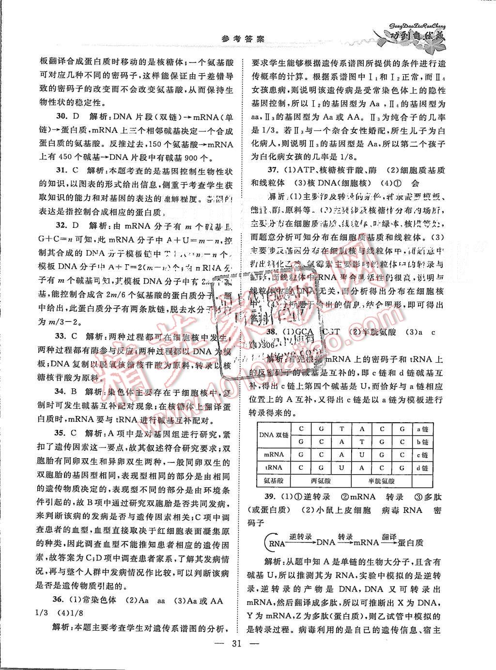 2015年功到自然成課時導(dǎo)學(xué)案高中生物必修2江蘇版 第31頁