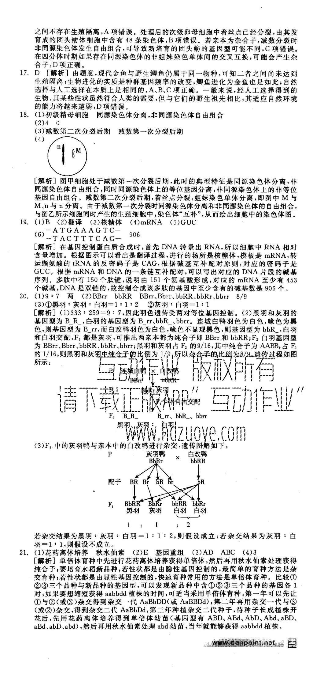 2015年全品學(xué)練考高中生物必修2人教版 測(cè)評(píng)卷參考答案第60頁