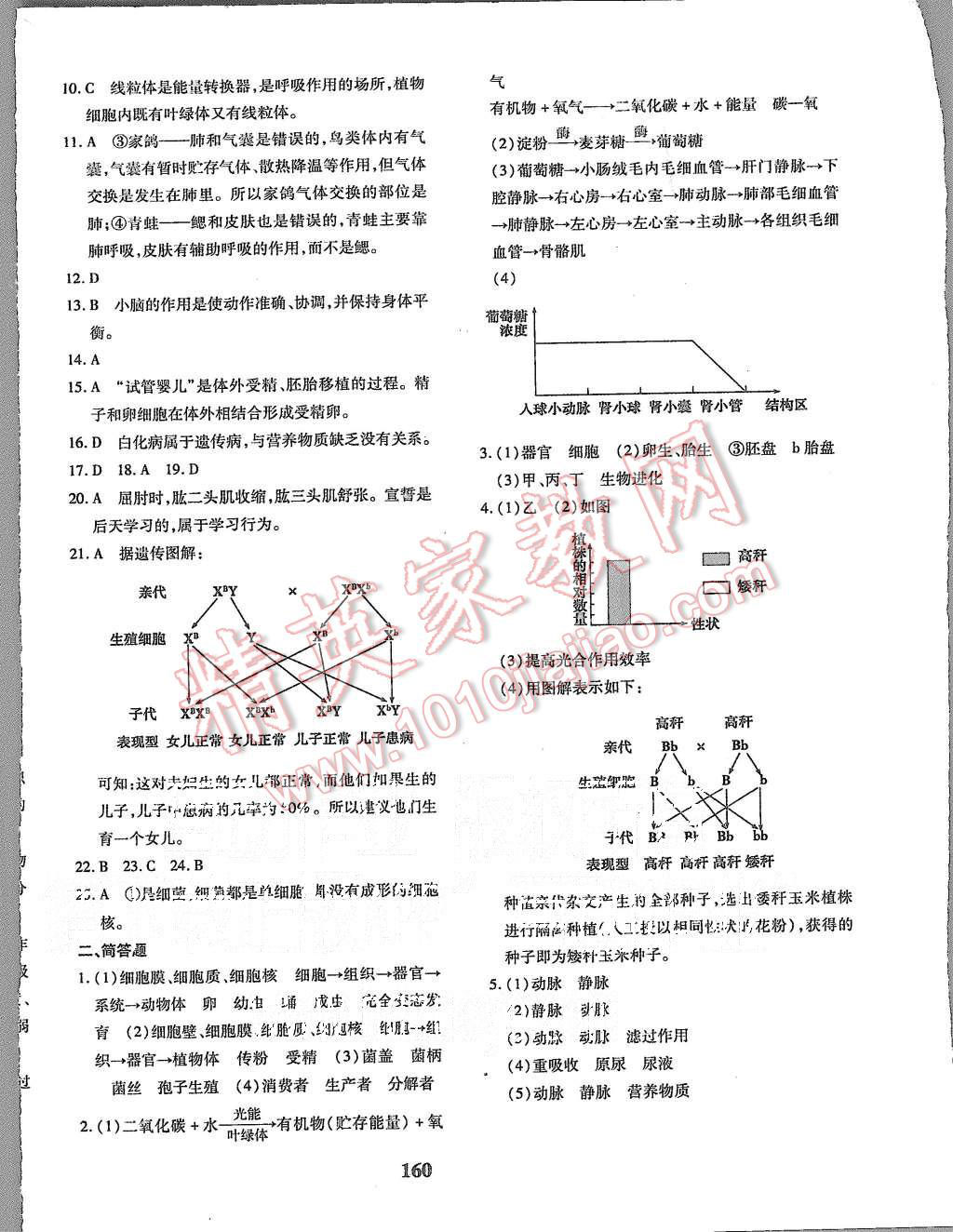 2015年黃岡360度定制密卷八年級(jí)生物上冊(cè)人教版 第32頁(yè)