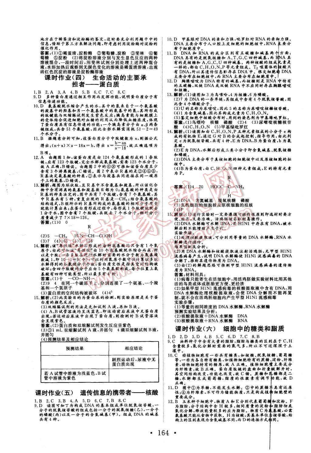 2015年課堂新坐標(biāo)高中同步導(dǎo)學(xué)案生物必修1人教版 第14頁(yè)