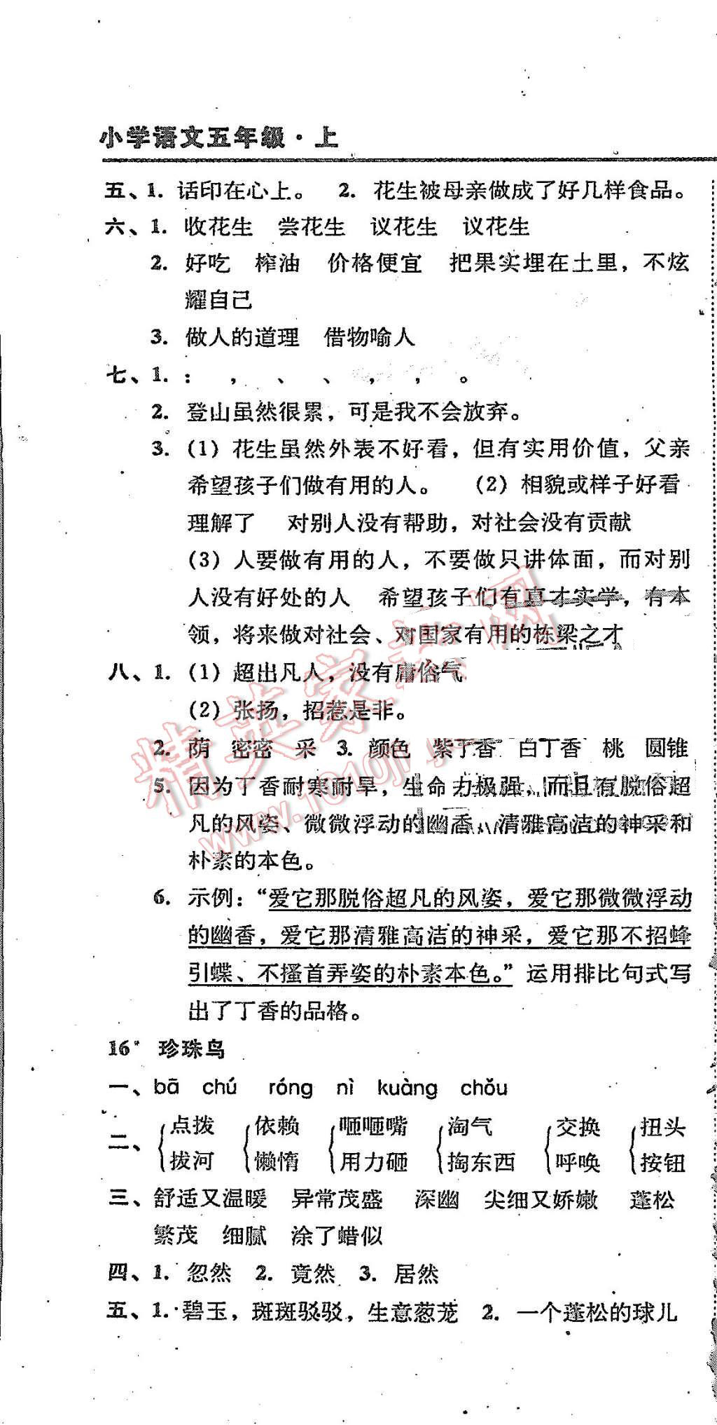 2015年北大綠卡課課大考卷五年級語文上冊人教版 第13頁