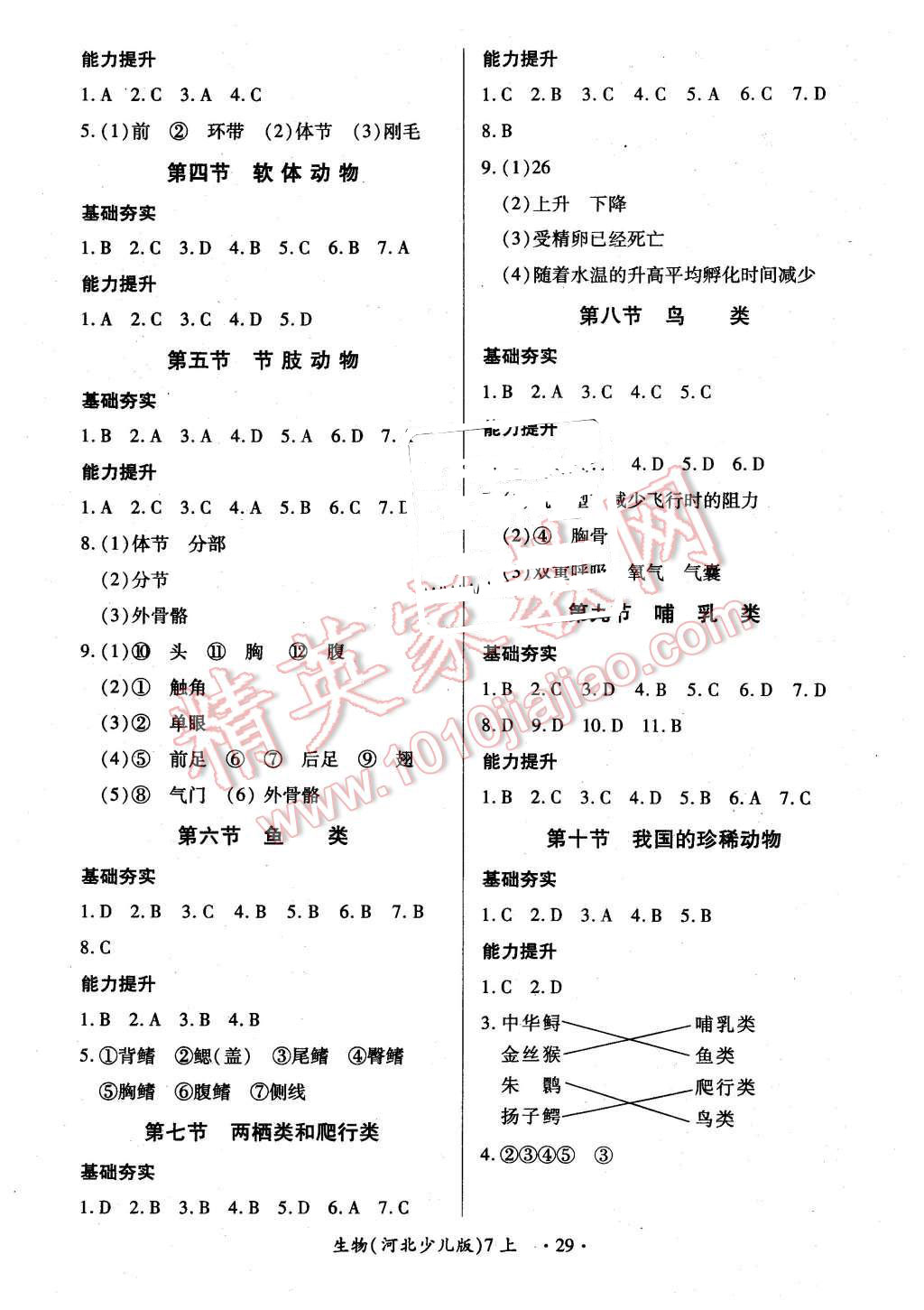 2015年一課一案創(chuàng)新導(dǎo)學(xué)七年級生物上冊河北少兒版 第5頁