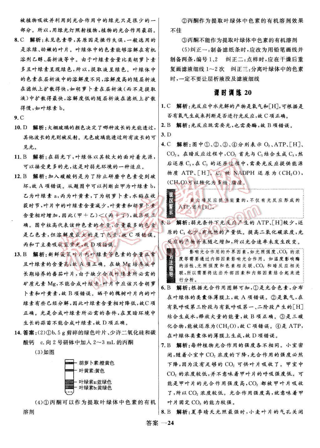 2015年高中同步測控優(yōu)化訓練生物必修1人教版 第24頁