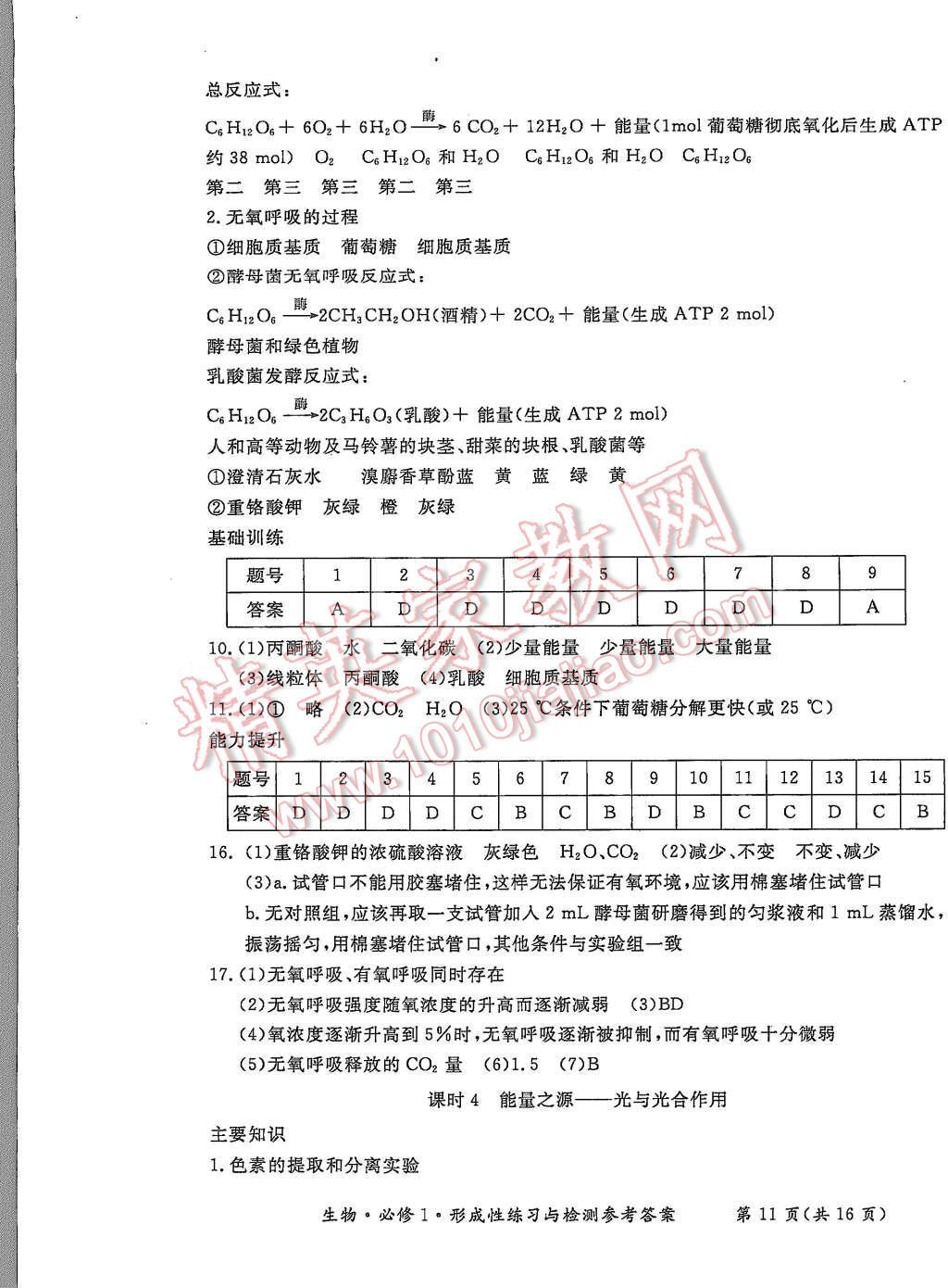 2015年形成性練習與檢測生物必修1 第11頁