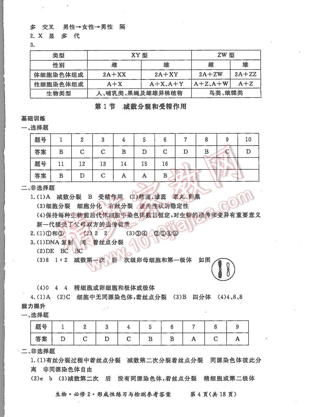 2015年形成性練習與檢測生物必修2 第4頁