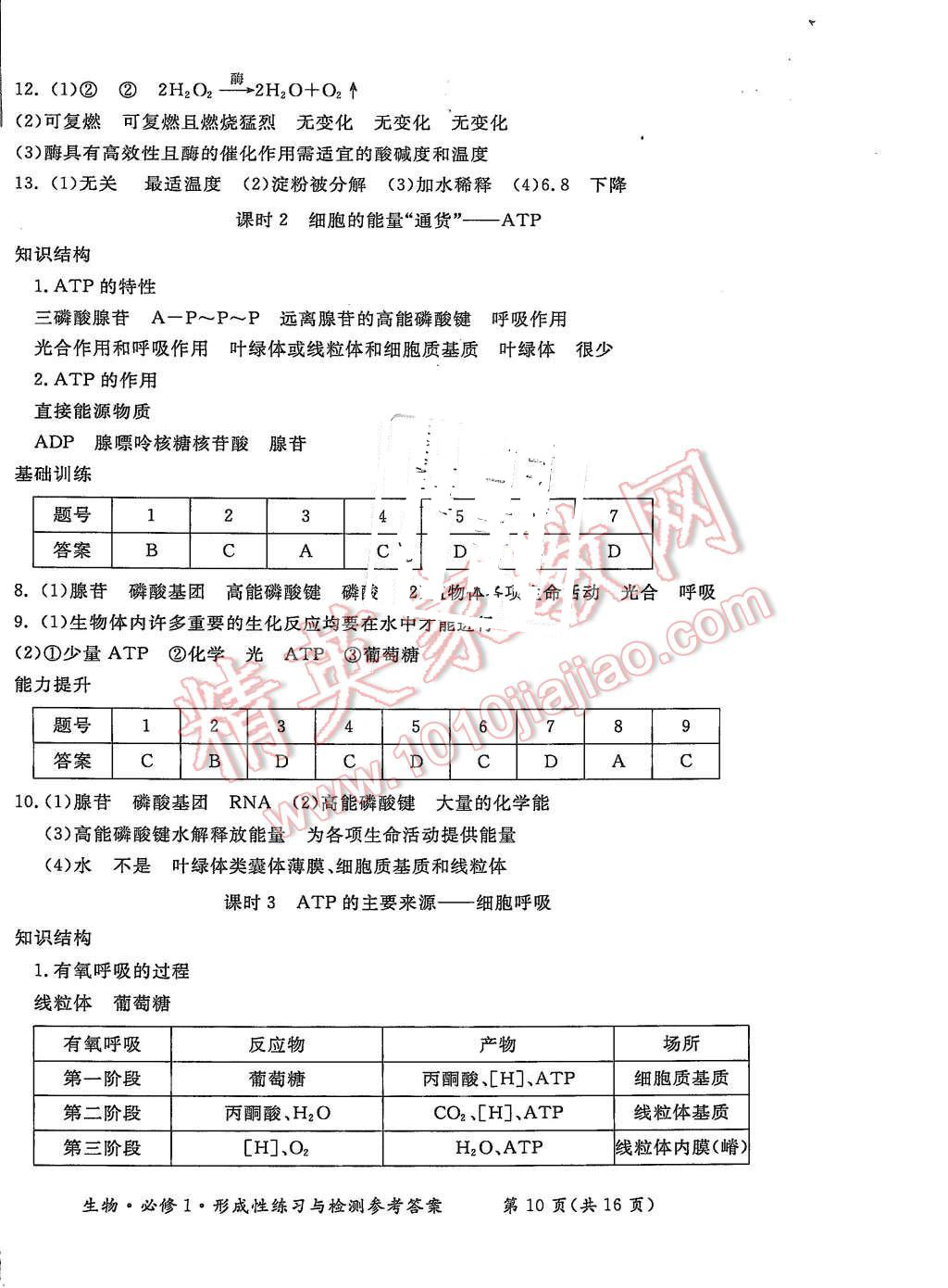 2015年形成性練習(xí)與檢測生物必修1 第10頁