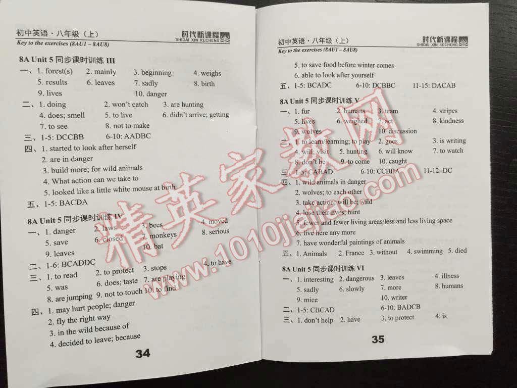 2015年時(shí)代新課程初中英語八年級上冊 第18頁