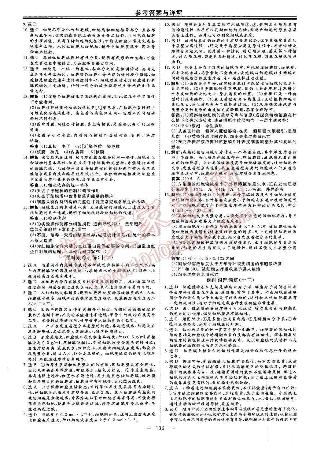 2015年高中新課程導學與評估創新學案生物必修1人教版 第16頁