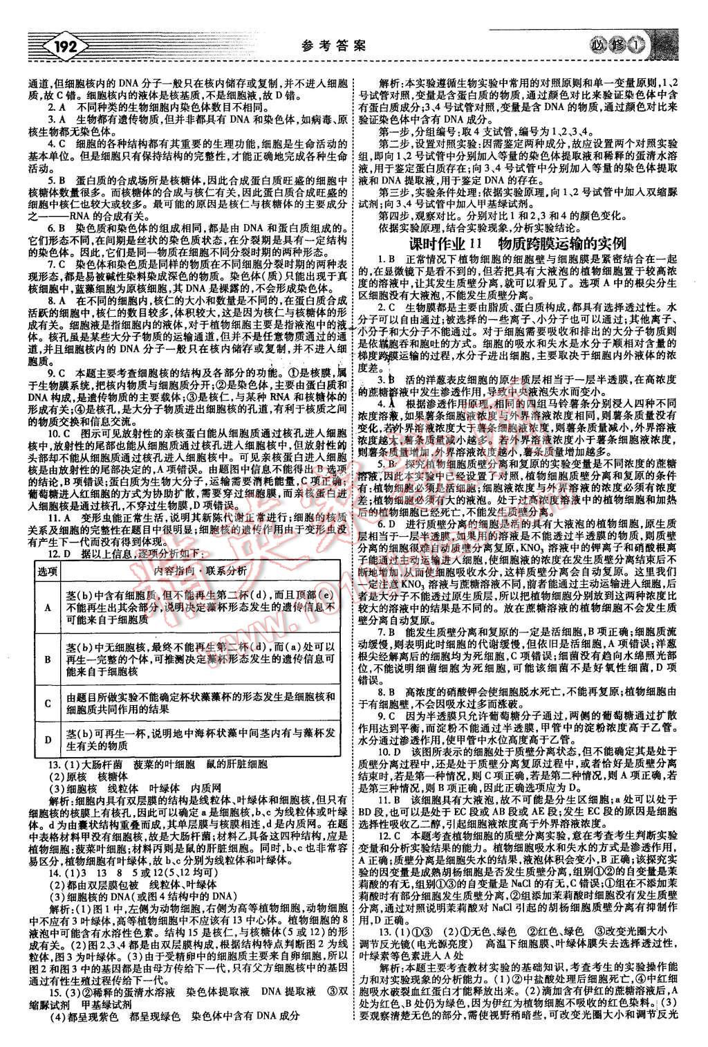 2015年紅對(duì)勾講與練高中生物必修1人教版 第20頁