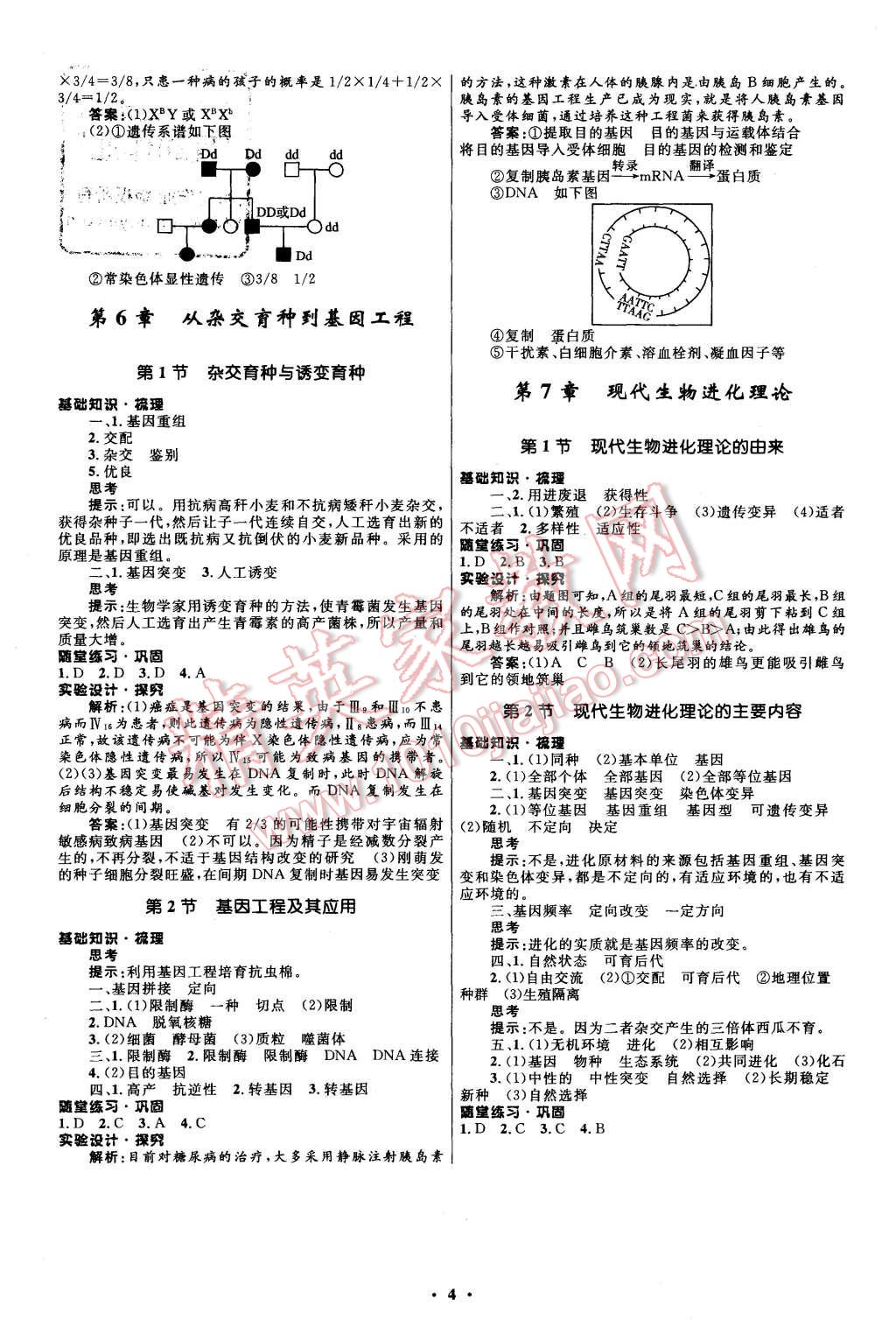 2015年新課程自主學習與測評高中生物必修2人教版 第4頁