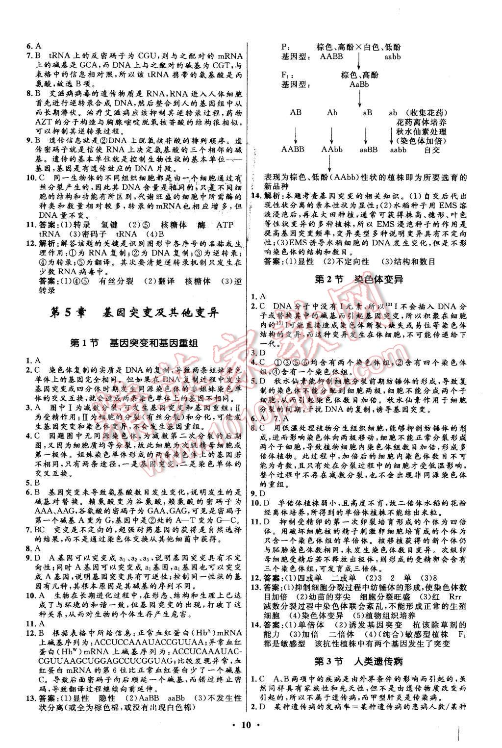 2015年新課程自主學(xué)習(xí)與測評高中生物必修2人教版 第10頁