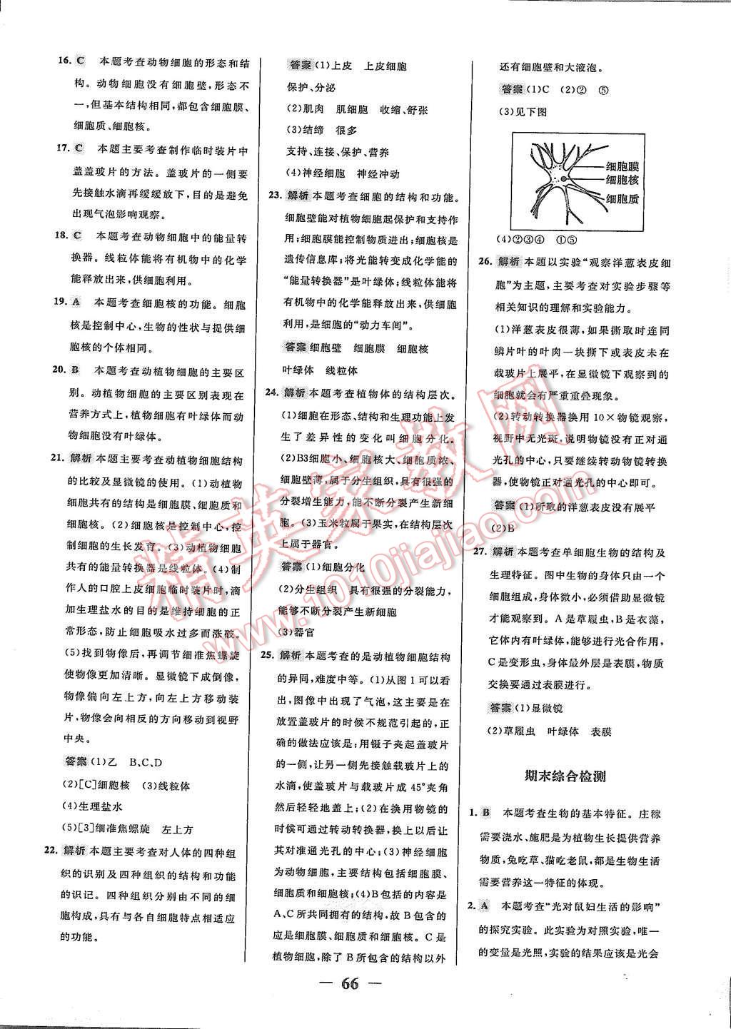 2015年世紀金榜百練百勝六年級生物上冊魯科版 第6頁