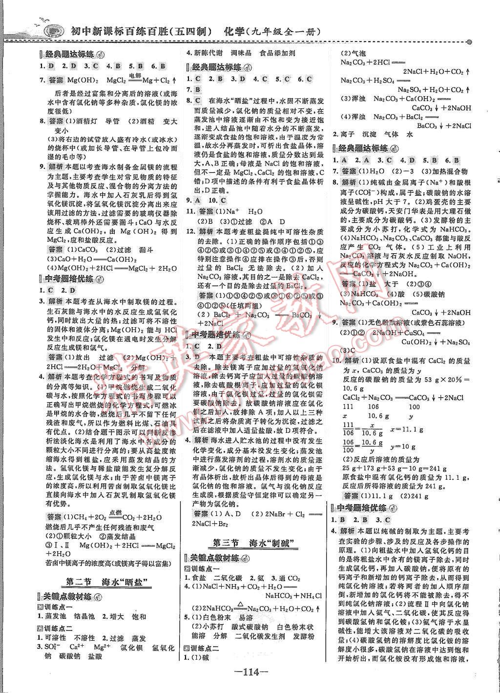 2015年世紀(jì)金榜百練百勝九年級化學(xué)全一冊魯教版 第5頁