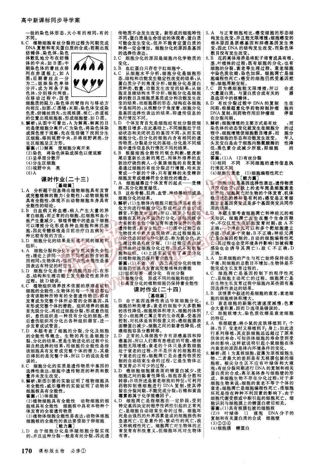 2015年與名師對話高中新課標(biāo)同步導(dǎo)學(xué)案生物必修1課標(biāo)版 第20頁