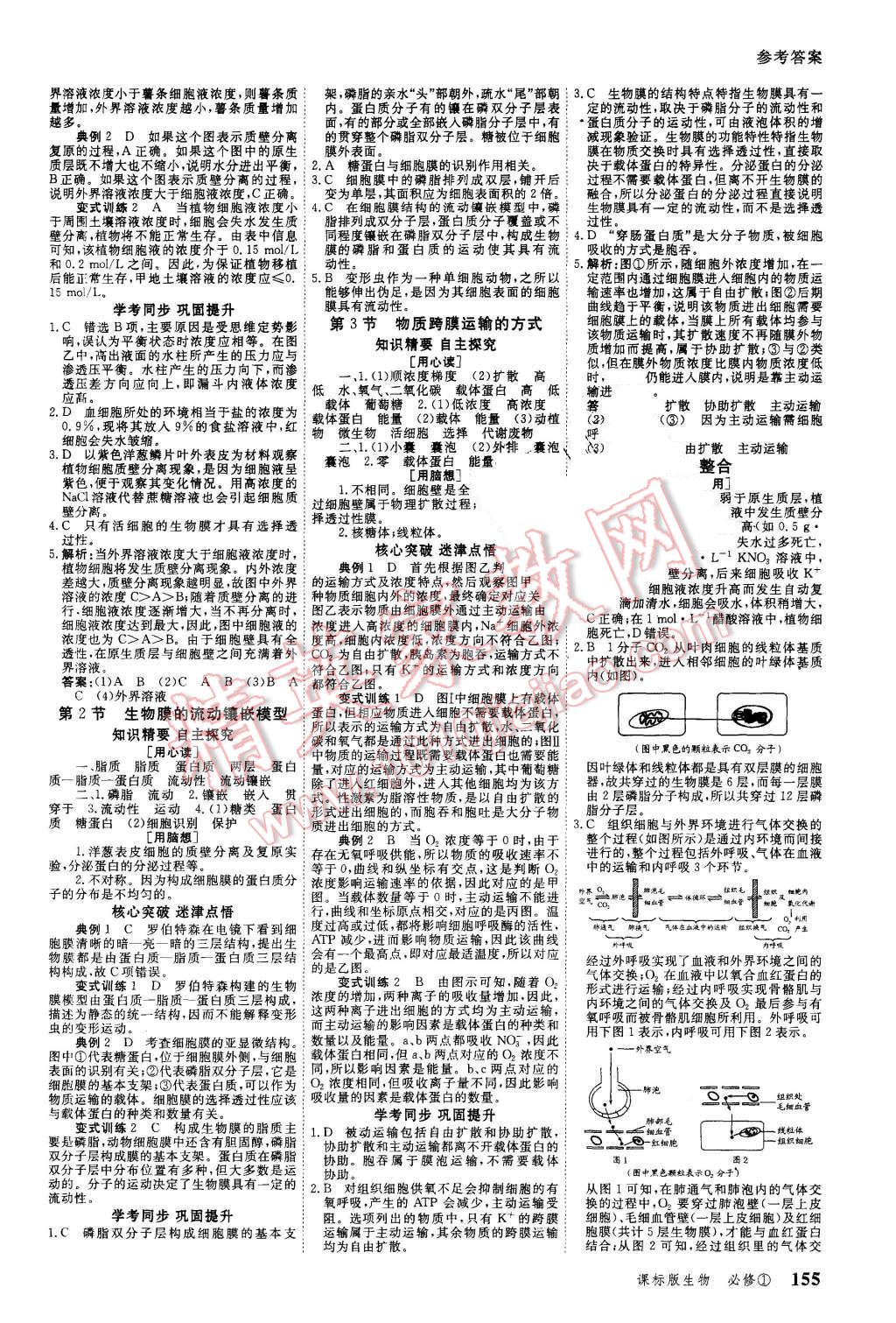 2015年與名師對話高中新課標同步導學案生物必修1課標版 第5頁