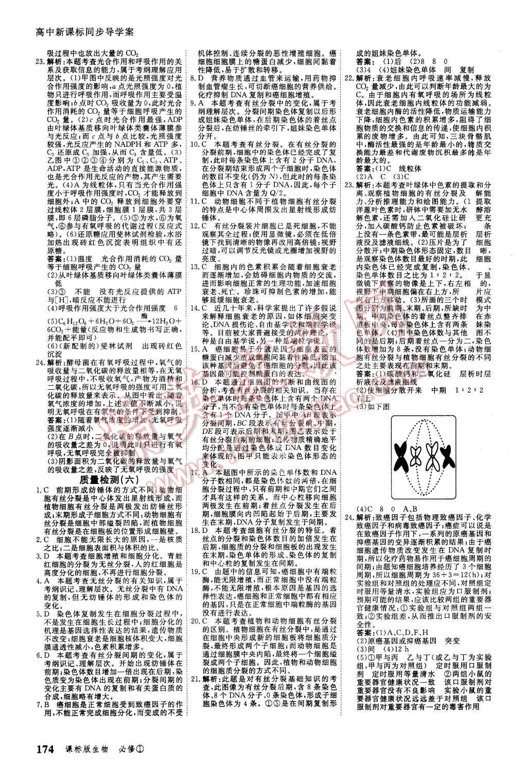 2015年與名師對(duì)話高中新課標(biāo)同步導(dǎo)學(xué)案生物必修1課標(biāo)版 第24頁