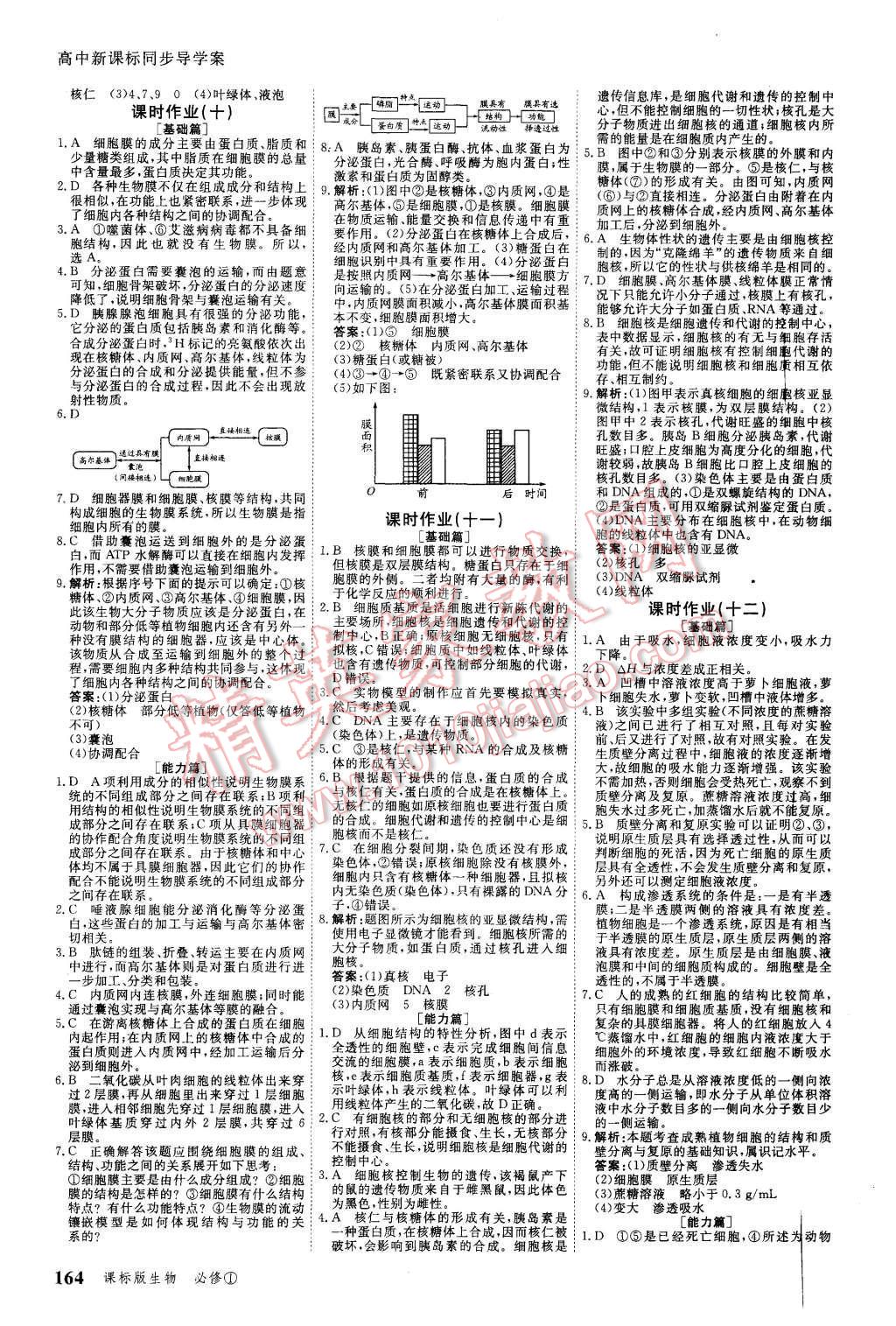 2015年與名師對話高中新課標(biāo)同步導(dǎo)學(xué)案生物必修1課標(biāo)版 第14頁