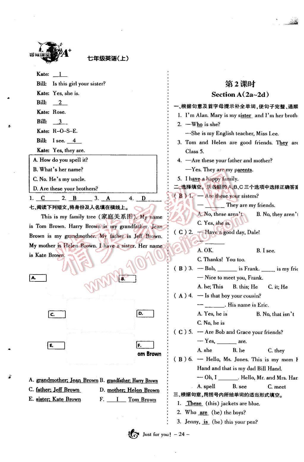 2015年蓉城課堂給力A加七年級(jí)英語(yǔ)上冊(cè) Unit 2 This is my sisiter第25頁(yè)