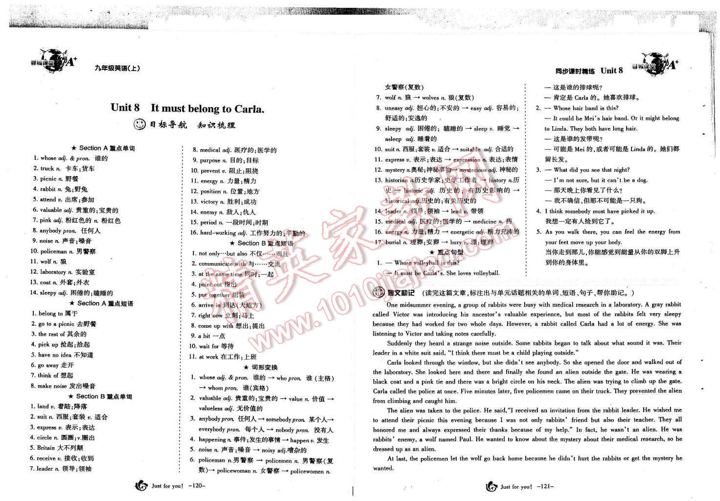 2015年蓉城课堂给力A加九年级英语全一册 第62页